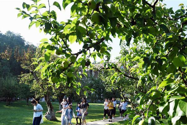 Nhan rong 10 mo hinh giam ngheo..