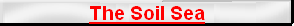 Soil
