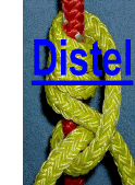 Distel (click)
