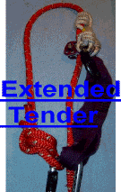         (click) Extended  Tender