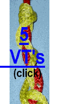 5 VT's