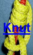      (click) Knut