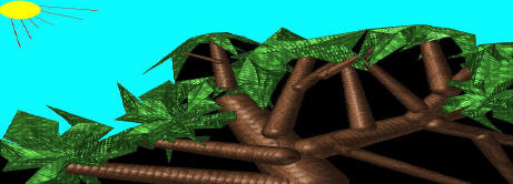 Img10.jpg