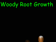 tree, root, soil